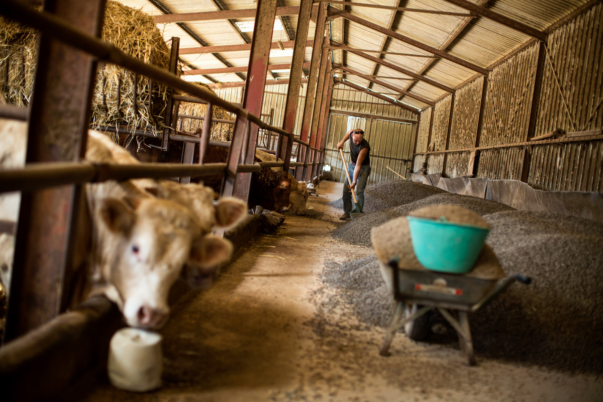 “I work on a farm, taking care of land and cattle. I work on a 35-hour-per-week basis, but this is a basis over the year. Of course our working hours depend a lot on the climate.”